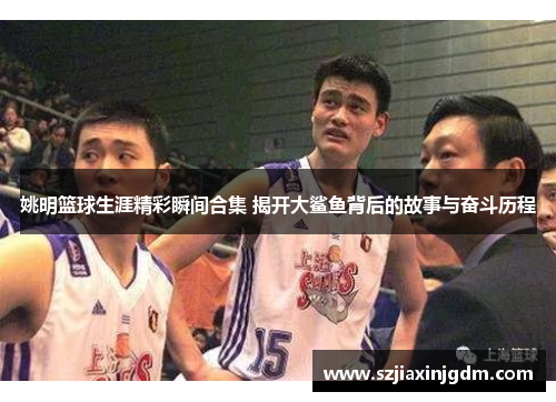 姚明篮球生涯精彩瞬间合集 揭开大鲨鱼背后的故事与奋斗历程