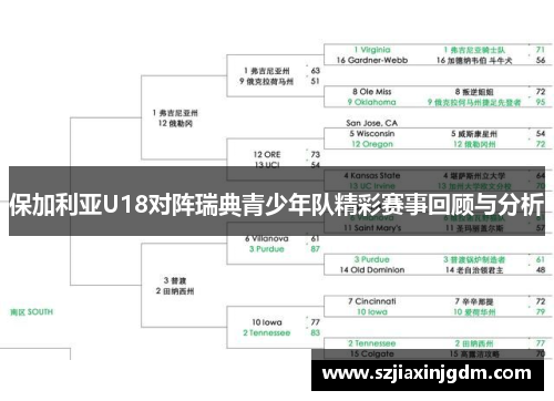 保加利亚U18对阵瑞典青少年队精彩赛事回顾与分析