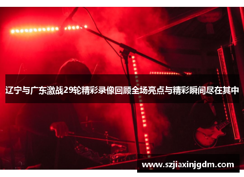 辽宁与广东激战29轮精彩录像回顾全场亮点与精彩瞬间尽在其中